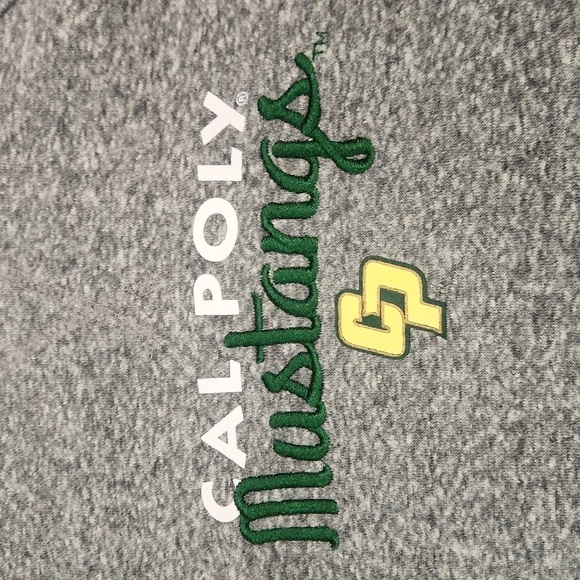 Champion CalPoly Mustangs Embroidered Pullover Hooded Sweatshirt - Picture 3 of 5